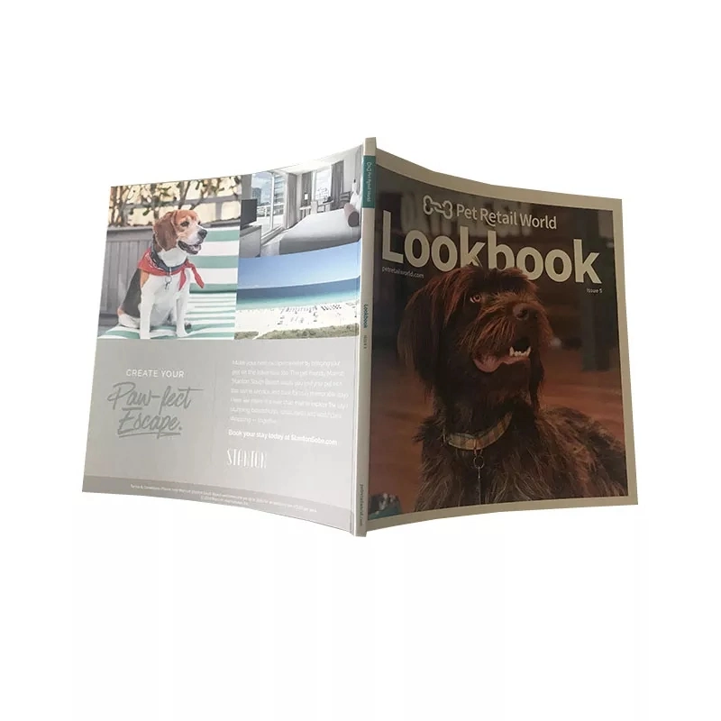 Custom Softcover Professional Magazine Printing Full Color Book