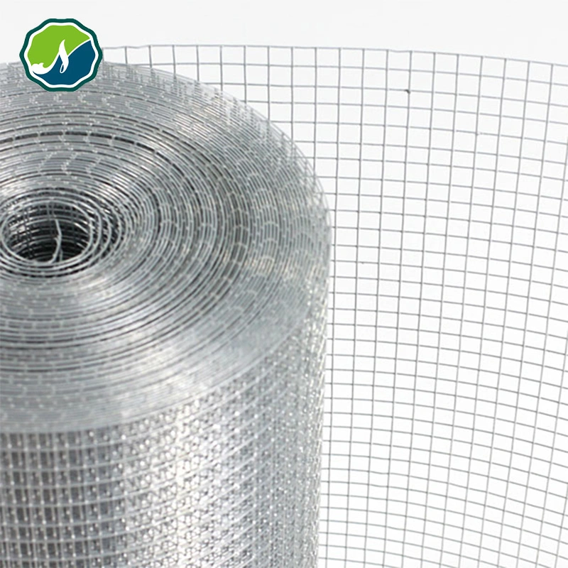 PVC Galvanized Stainless Steel/Square/Chicken/Garden Fence/Welded Wire Mesh