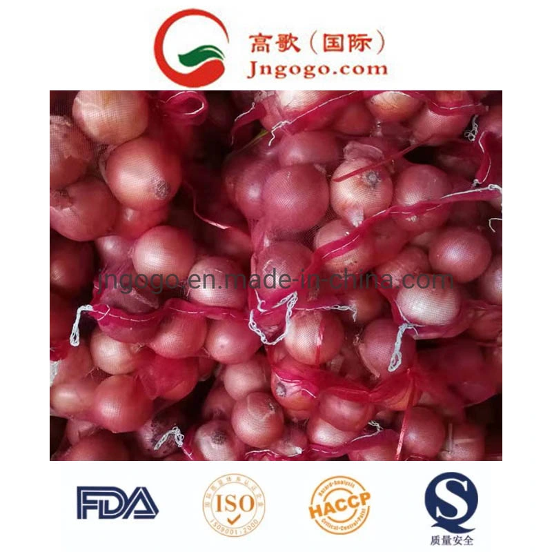 Fresh New Crop Export Good Quality Red Onion