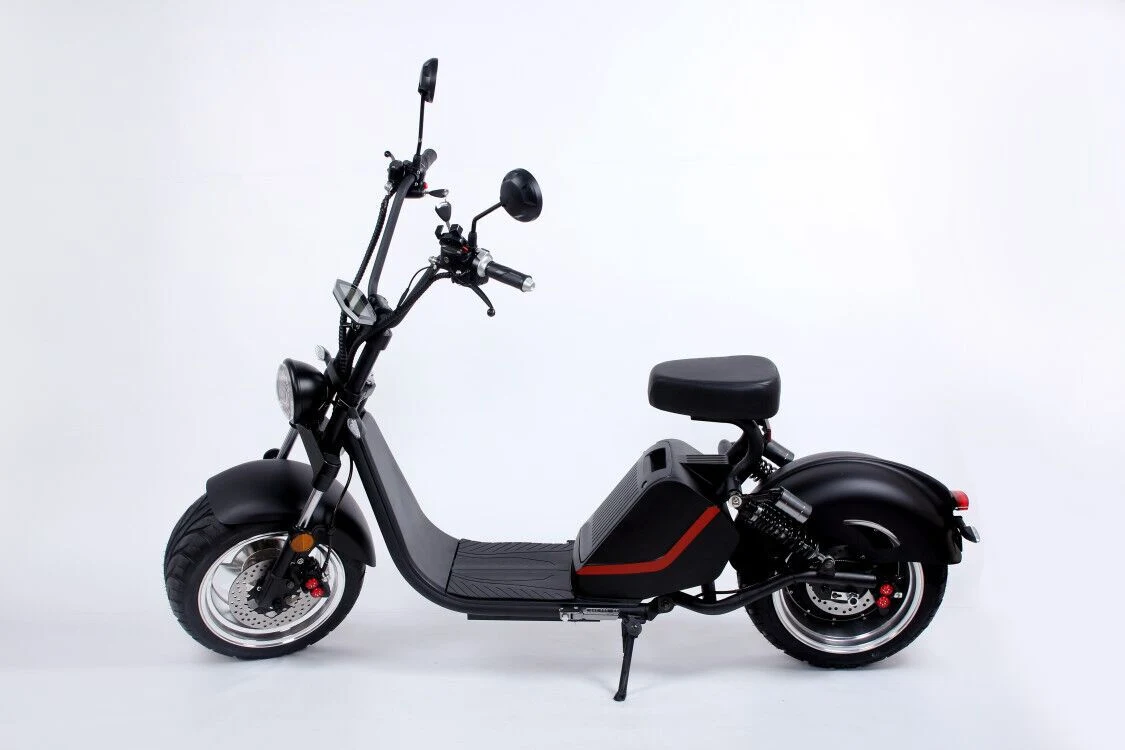 2020 Hot Bicycle Cheap Factory Price Light Weight Adult Electric Citycoco with Double Disc Brakes