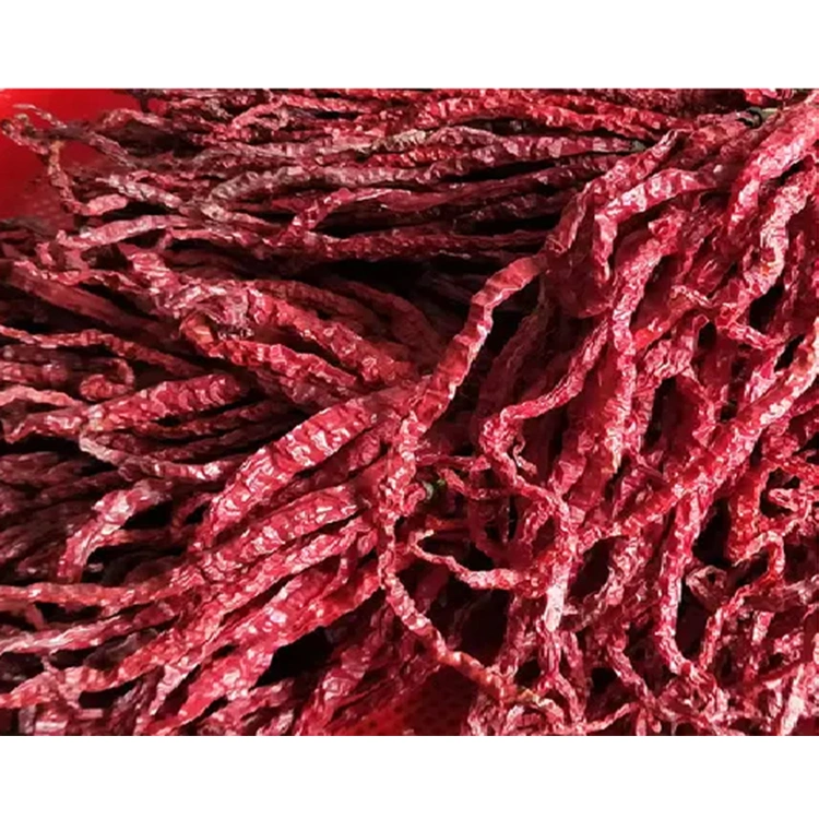 Wholesale/Supplier Spicy Red Dry Chili