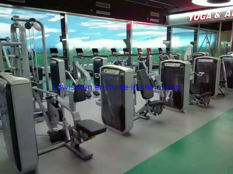 Ms1006 Entrenamiento Profesional de equipos comerciales Gym Fitness Body building Curl de piernas sentado máquina de la fuerza de extensión de Lex