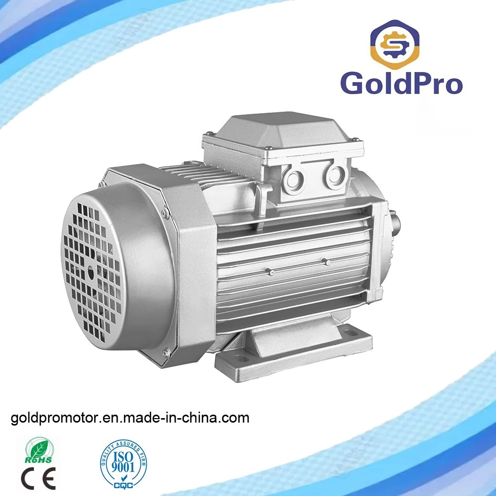 Ms Ys IEC Standard Aluminium Housing High Efficiency Good Quality Electric Motor