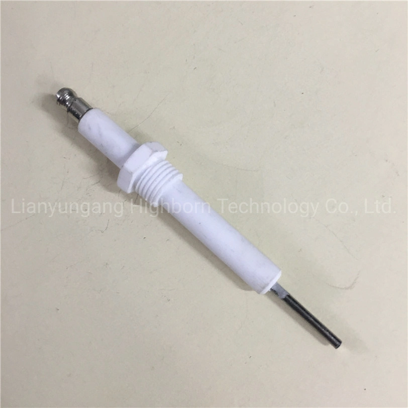 Fast Delivery Glazed 95% Alumina Al2O3 Ceramic Igniter Pin for Combustion Machine