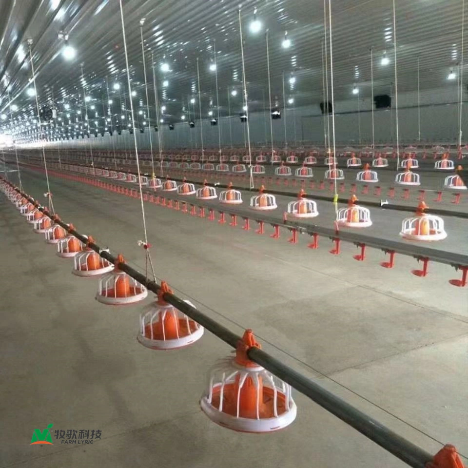 Orange Disc Automatic Chicken Feeder for Poultry Farm with CE