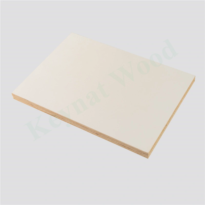 High Quality Cheap Price Ash Natural Wood Timber Plywood for Furniture