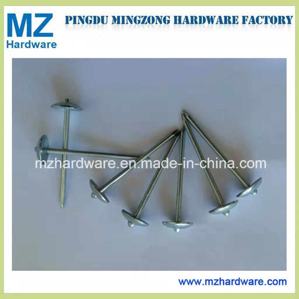 Smooth Twisted Screw Shank Umbrella Head Roofing Nail