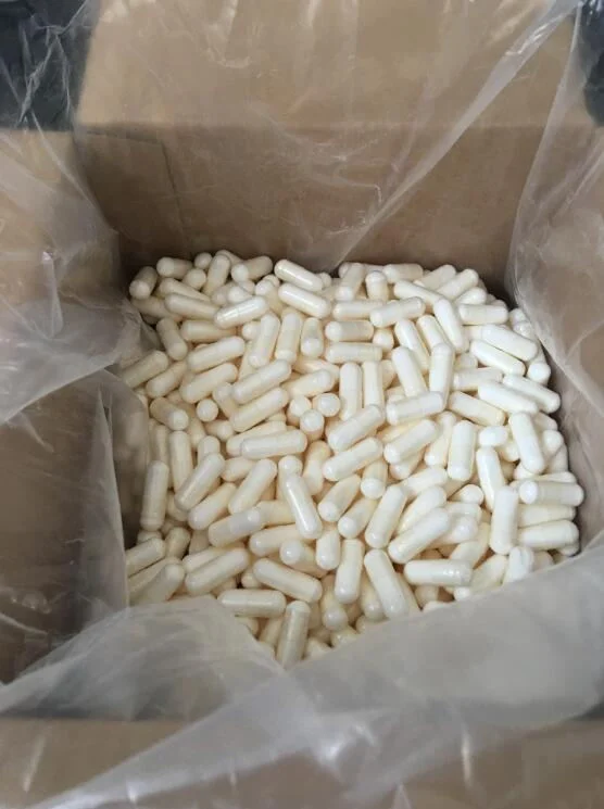 L-Carnitine Capsule OEM Customized for Human