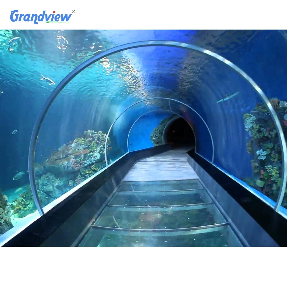 10m hojas de Plexiglás Acrílicas Océánicas transparentes de gran tamaño vidrio Túnel Acuario