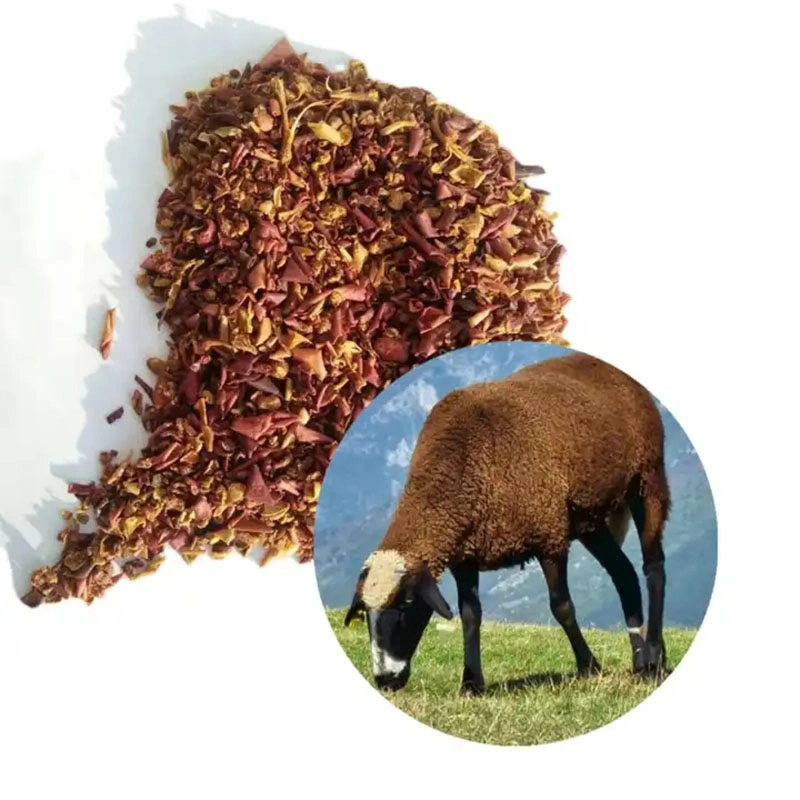 Factory Directly Sale Apple Pomace for Animals Feed Additives