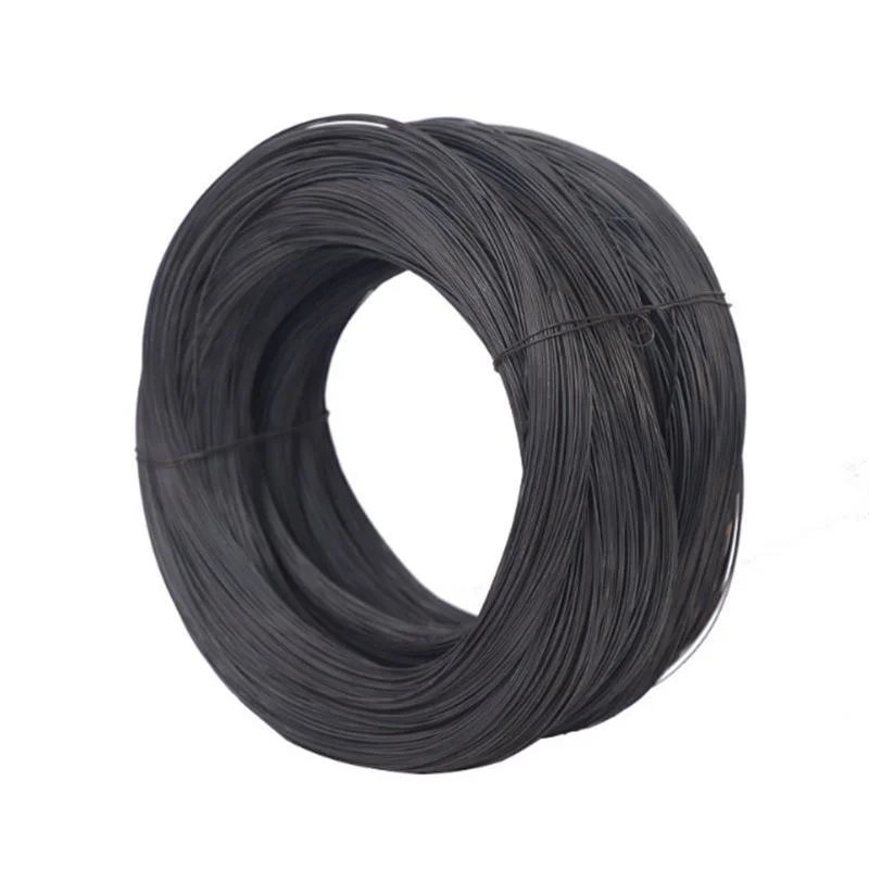 Cold Rolled Low/High Carbon/Ms Steel Wire Rod SAE 1008 /1006 5.5 6.5 8 10 12 mm Q195 Q235 High Quality Hot Dipped Gi Wire Nail Wire