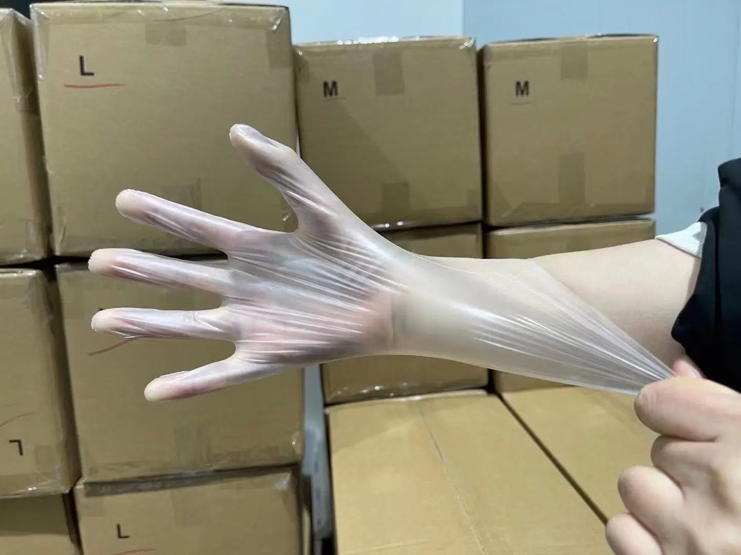 LDPE HDPE Clear Color Plastic Polythene Kitchen Waterproof Disposable Protective Transparent PE Gloves