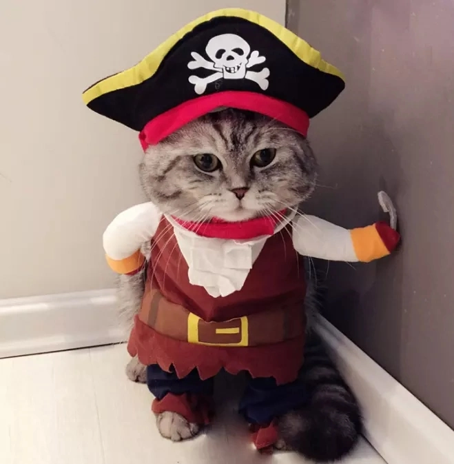 Vêtements amusants pour animaux de compagnie Costume de pirate pour chat et chien Corsaire Habillage pour fête Vêtements pour chat et chien avec chapeau.