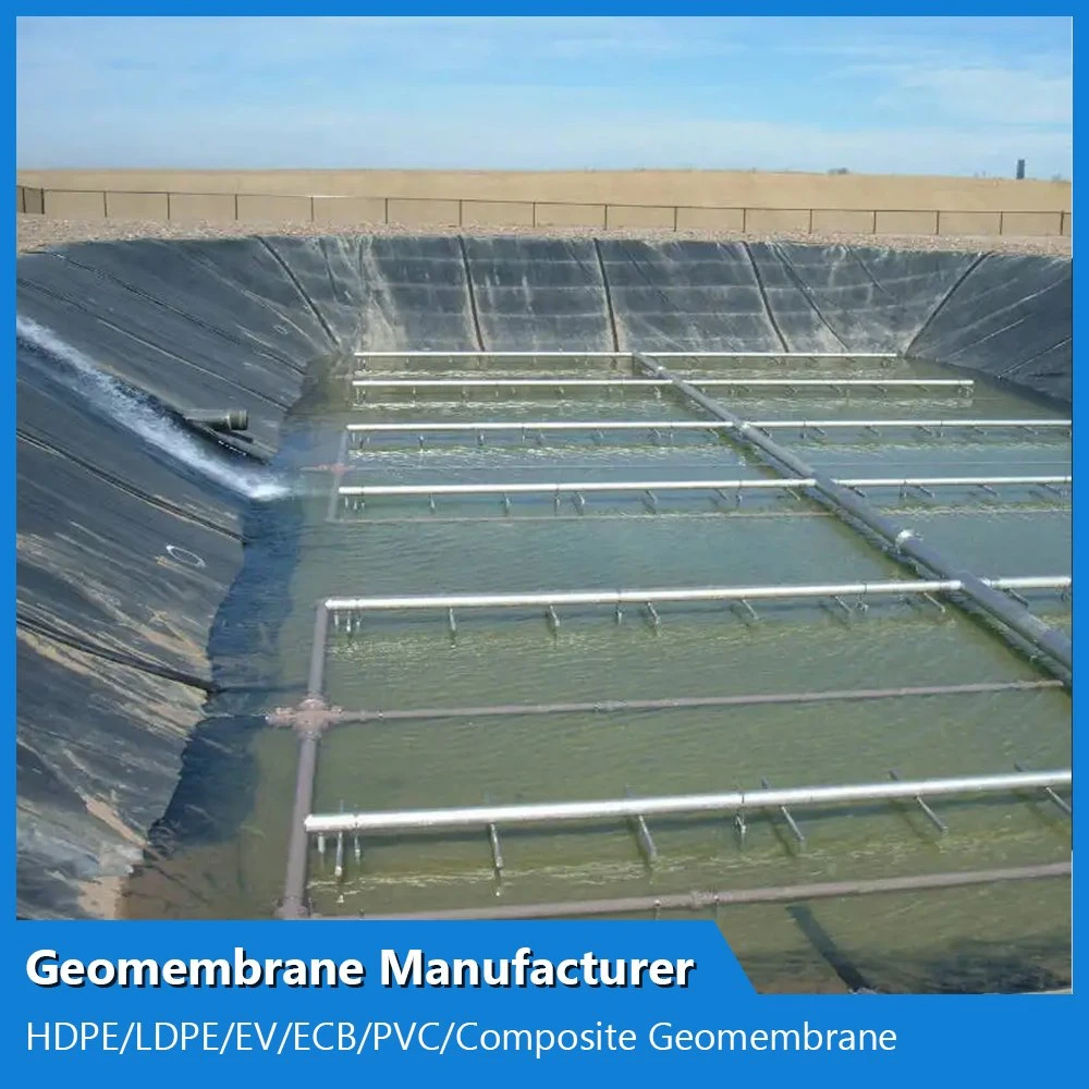 Customized HDPE/LDPE/PE/EV/ECB/PVC Textured/Composite Geomembrane Manufacturer for Aquaculture/Fish Farm/Shrimp/Pond/Dam/Landfill/Mining/Salt/Tailing Liner