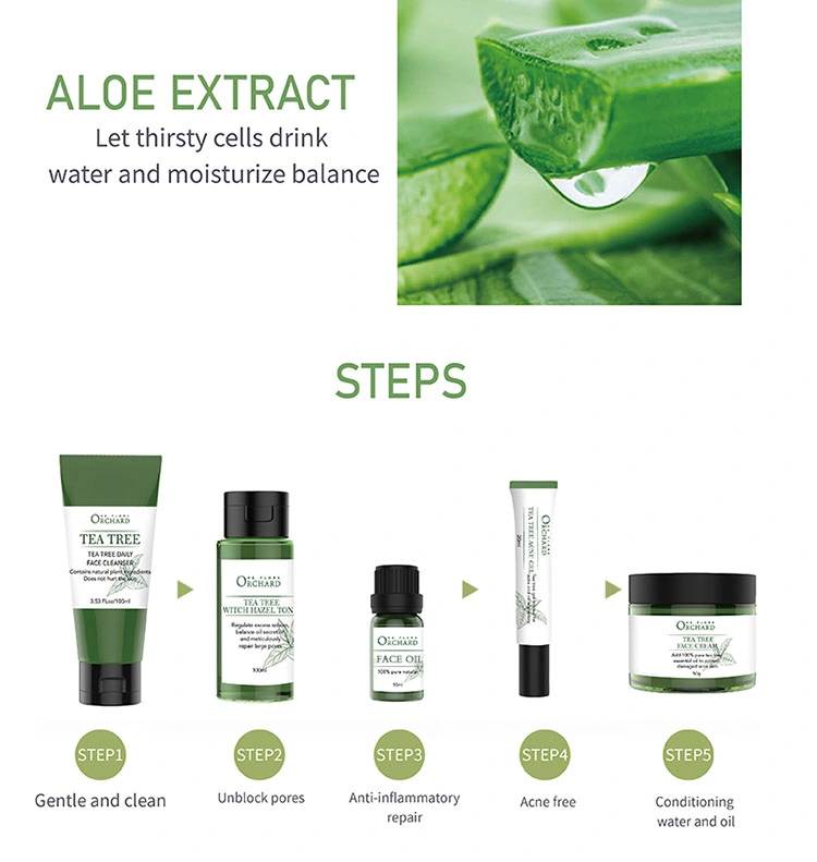 Tea Tree Skin Care Set for Healthy and Balanced Skin