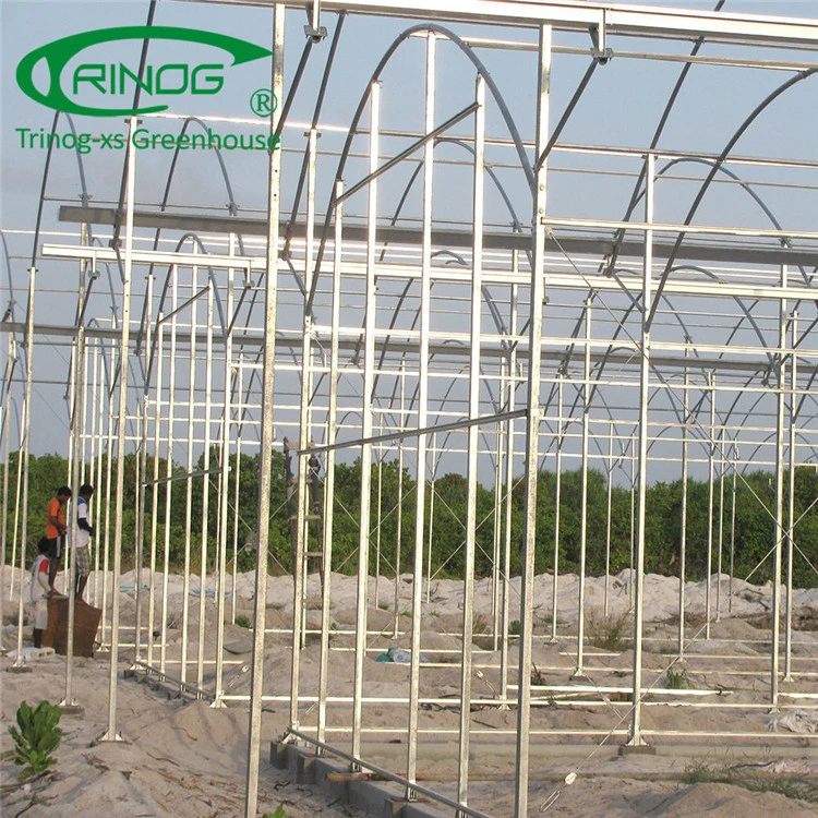 China Supplier Agricultural Single Span Film Greenhouse for Farming