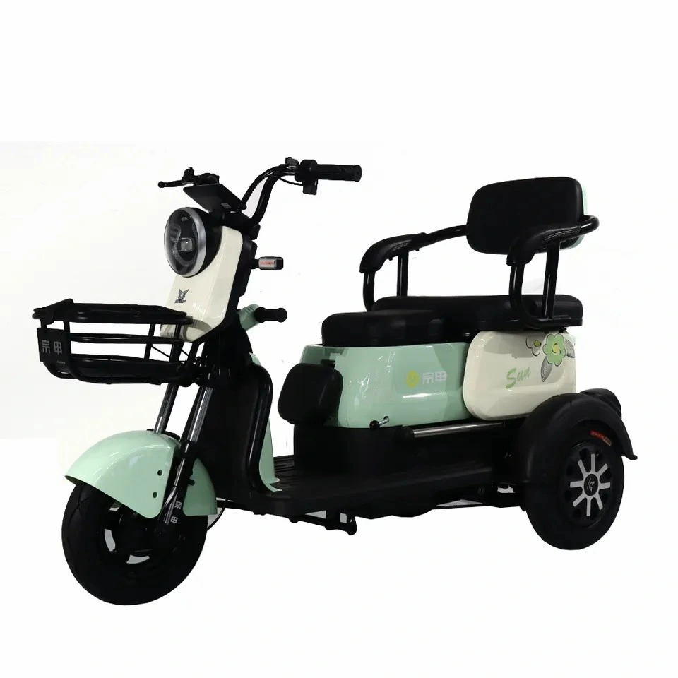 Mini Three Wheeler Tricycle Electric Moped 48V 600W Leisure Scooter Good Looking Fall Prevention Electric Motorcycle