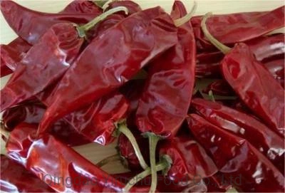 Pimiento rojo chino que puede reforzar la circulación sanguínea