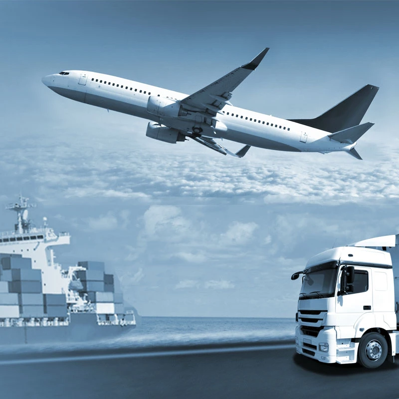 International Express From China to Palestine Shipping DHL/UPS Freight Forwarder