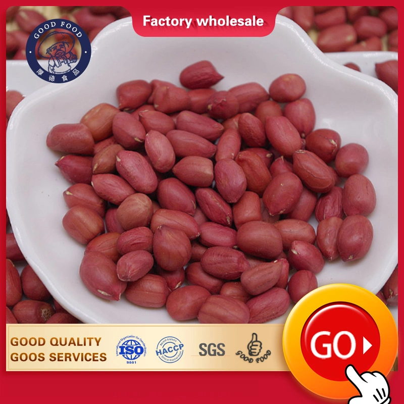 Sanitary Dried Kernel Peanuts Groundnut Raw/Fresh Red Skin Arachid for Sale