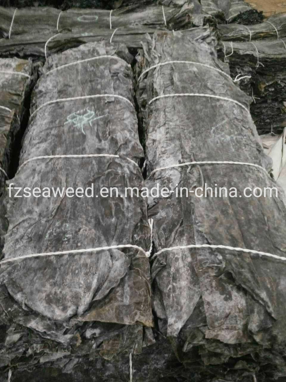 Wholesale Healthy Food Grade Fresh Water Washed Kelp algues