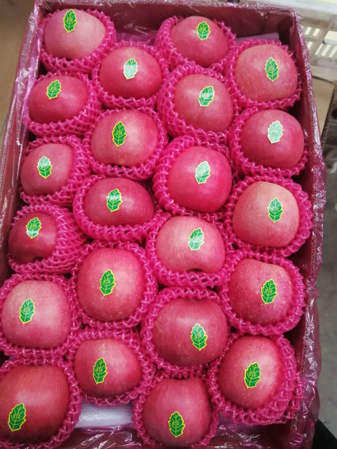 Fresh New Crop Chinese Wholesale/Supplier Premium Quality FUJI Apple Full Red Color