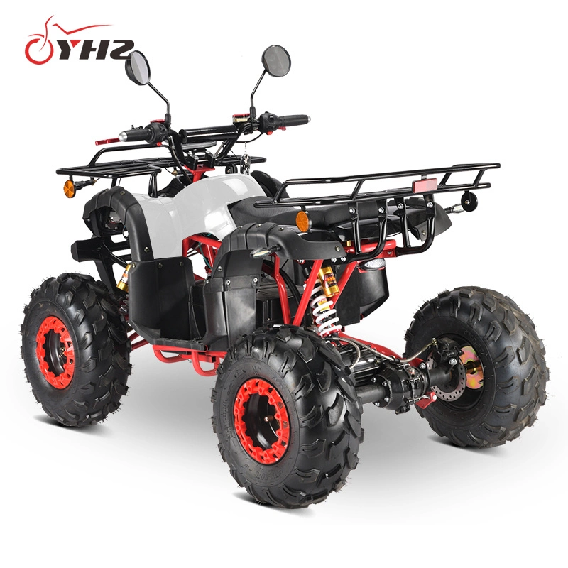 off Road Beach Vehicle 2000W Adult Electric ATV EEC