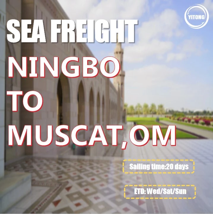 International Shipping by Sea From Shenzhen to Muscat Oman