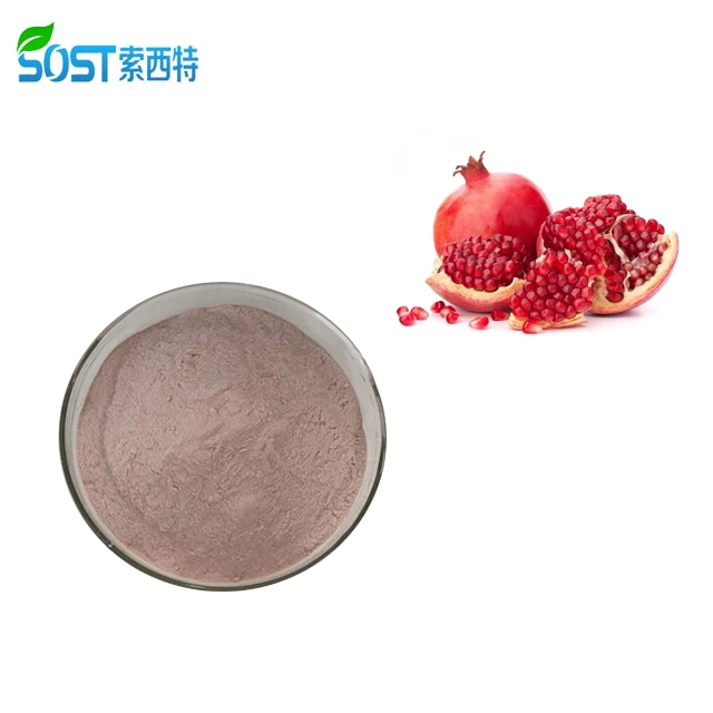 SOST 100% Natural Water Soluble Organic Pomegranate Juice Powder