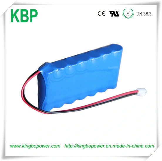 Waterproof Housing 18650 48V 20ah Electric Bike Lithium Battery