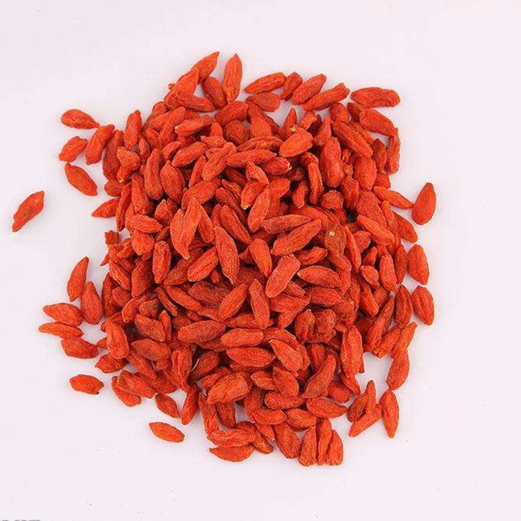 Goji Berry Extract ISO Certified Manufacturer Supply 100% Natural Goji Pó