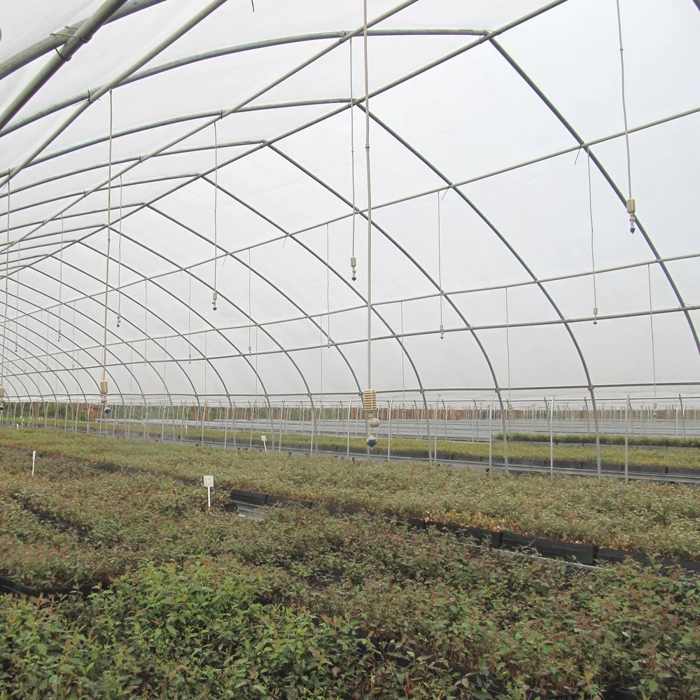 Multi Span Agricultural Film tunnel greenhouse for Sale