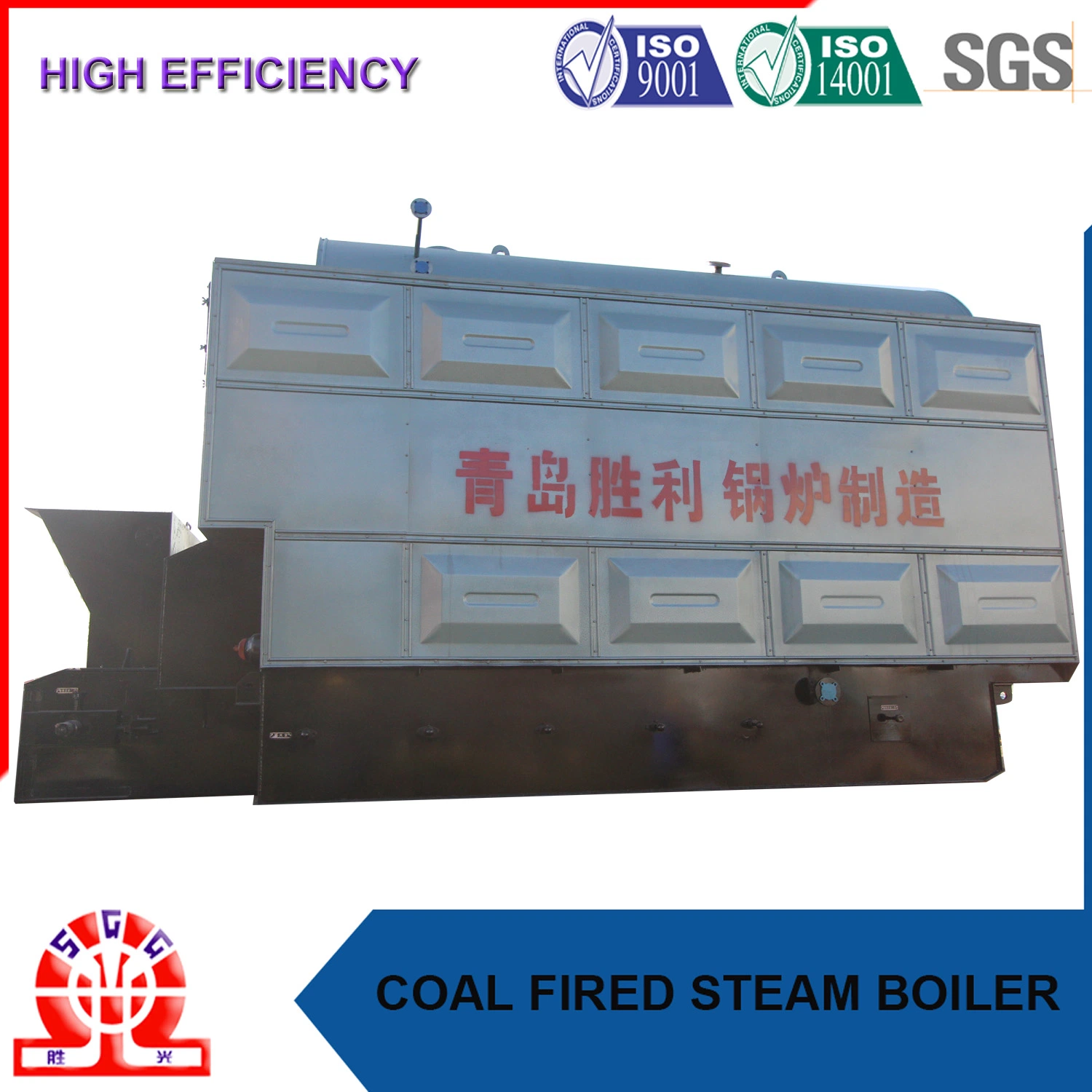 Energy Saving Biomass and Coal Fired Boiler for Dyeing