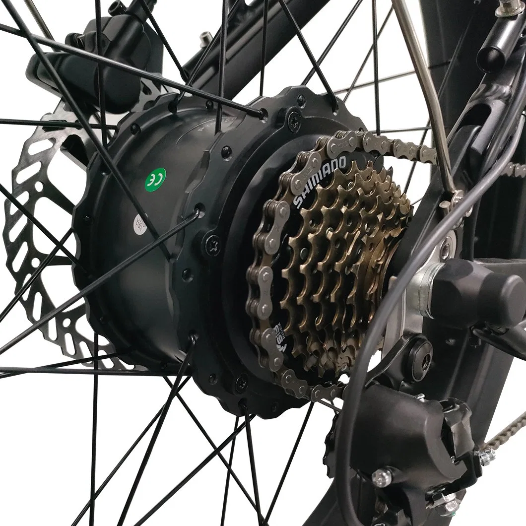 Amazon Top Vender 750W poderoso neumático de grasa bicicleta eléctrica