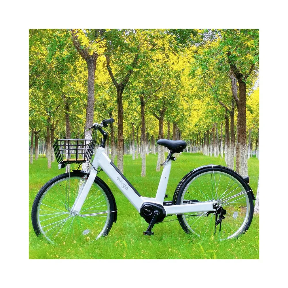 2022 Wholesale Cheap 36V 250W High Power Lithium Battery Brushless Aluminum Alloy Electrical Electric Electronic City Road Electric Cycle Ebike