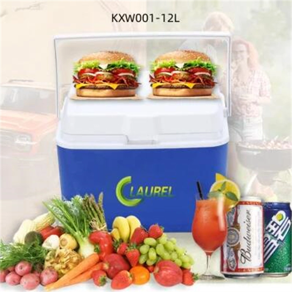 Medical Vaccine Cooler Box/Ice Box/ Ice Pad Cooler Box Cold Chain Packaging