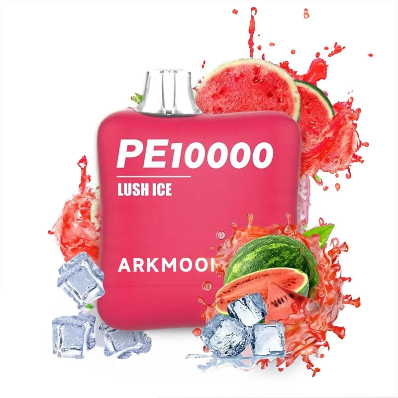 China Wholesale/Supplier Free Shipping Cheap Vape Arkmoon Old School PE 10000 Puffs Nic Salt 0% 2% 5% Rechargeable Christmas Eve Gift Vape