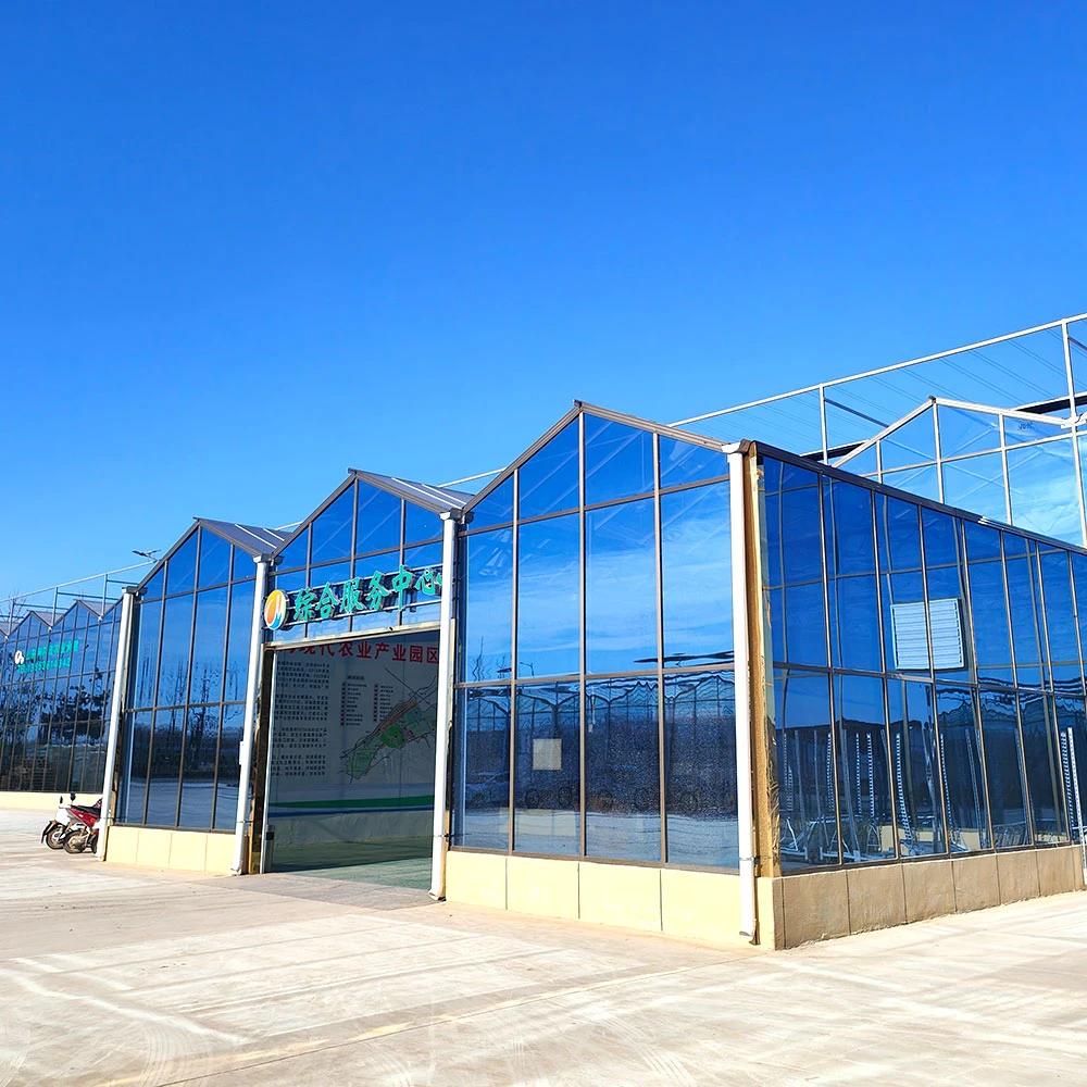 Modern Venlo Multi-Span Arch estufa de vidro para Fazenda/Prédios Comerciais/céu estrelado com caldeira/exaustor/Wet Cortina/canais Nft