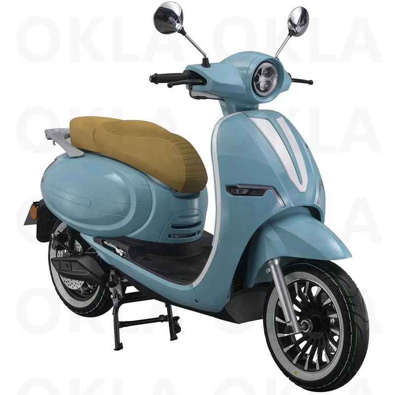 Best Moped Electric Scooter Bike with Aluminum/Iron Wheels