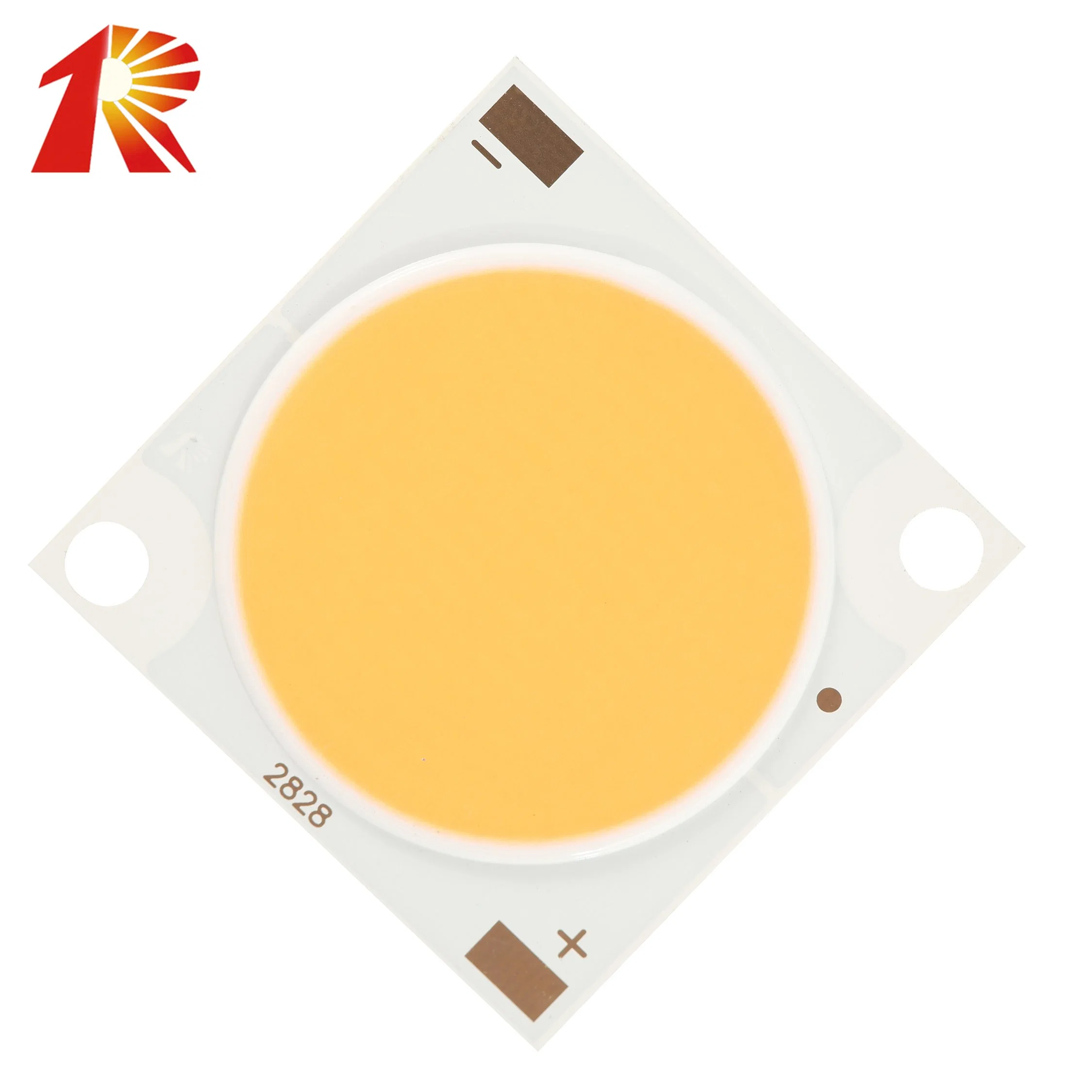 Full Spectrum 30W 40W 50W 2828 COB LED-Chip für Pflanze Wächst Licht