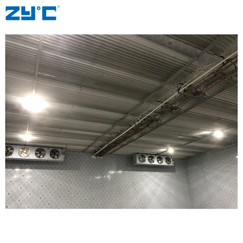 Zyc Air Cooler Aluminum Pipe Row Double Cooling Rapid Cooling Cold Storage Room Freezer Room