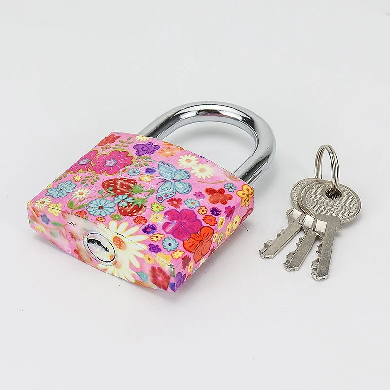 Hardware Tools 20-60mm Safety Protection Solid Keys Color Printing Square Iron Padlock