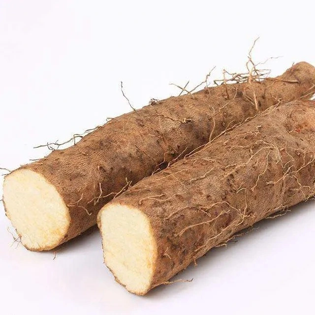 High quality/High cost performance  Natural Chinese Herbs Chinese Yarm Dioscorea Polystachya Turczaninow