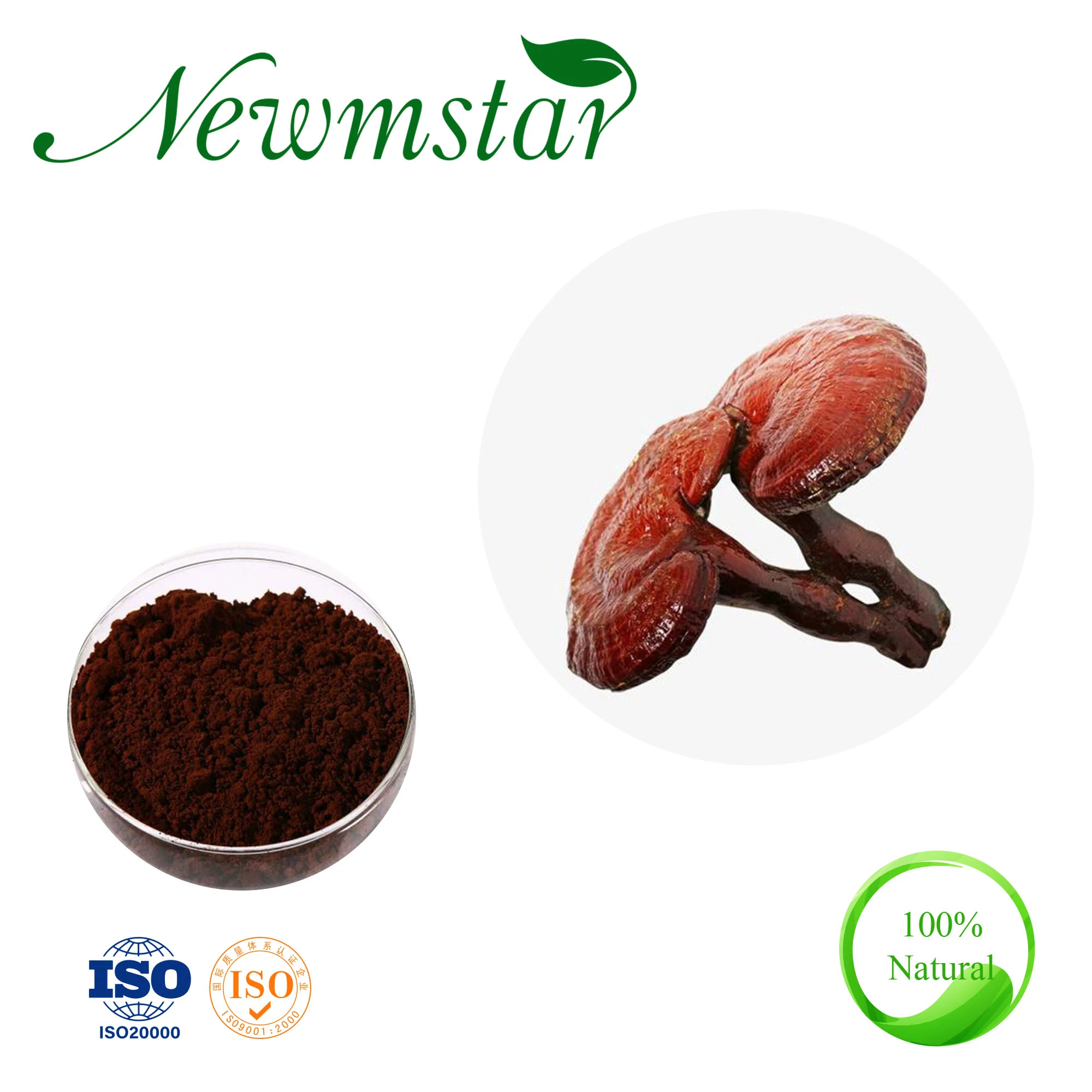 (Reishi Ganoderma lucidum) Wall-Broken orgânicos de pó de esporos USDA CEE Kosher verificar os produtos brancos anti vírus da gripe