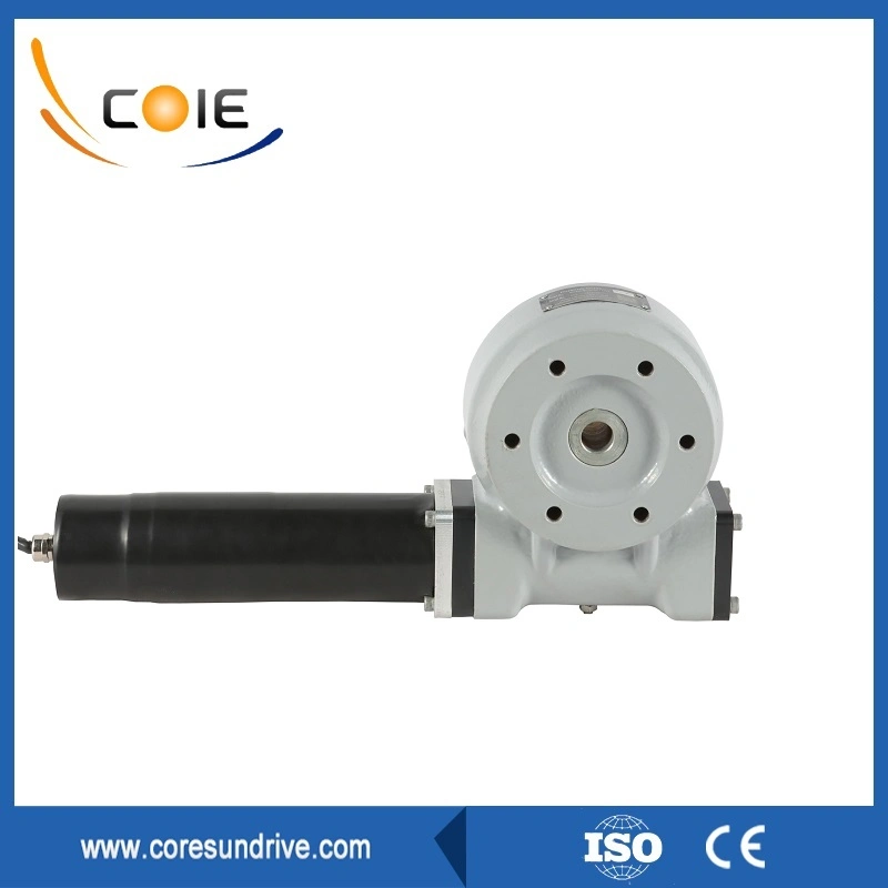 Slewing Drive Worm Gear for Satellite Antenna and Solar Tracker System