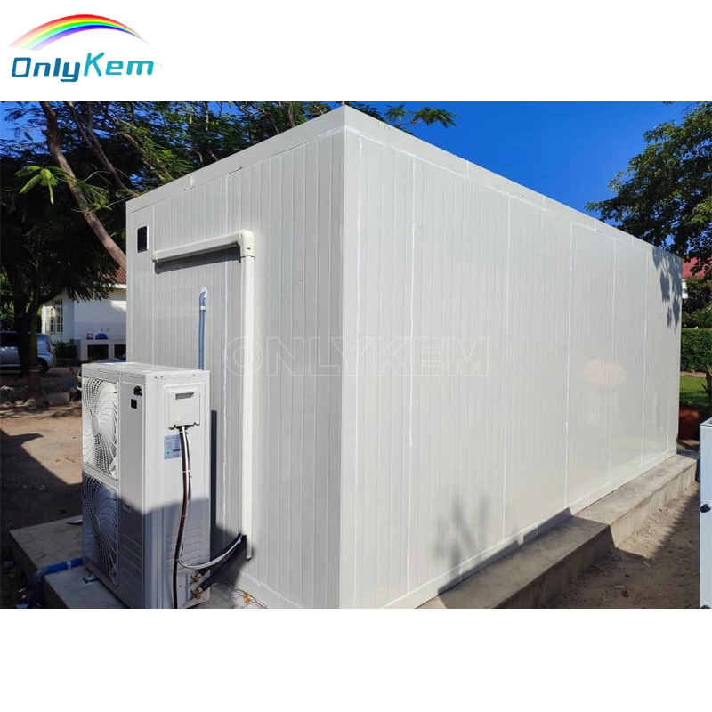 Cold Storage Walk-in Freezer/Chiller Blast Freezer Cold Room for Sale