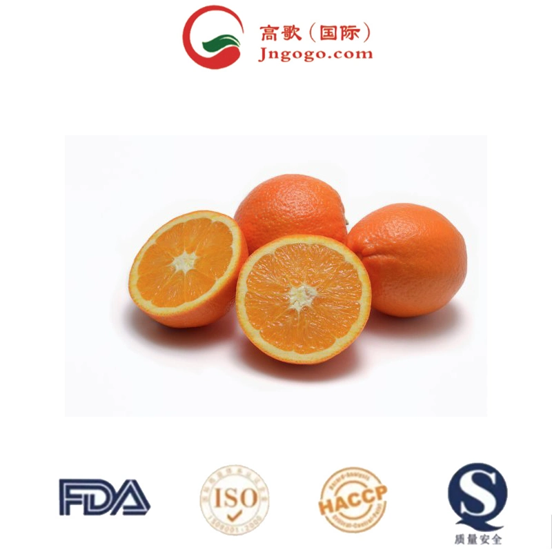 Carnes frescas Navel Orange /Carnes Mandarin Laranja/Egipto laranjas