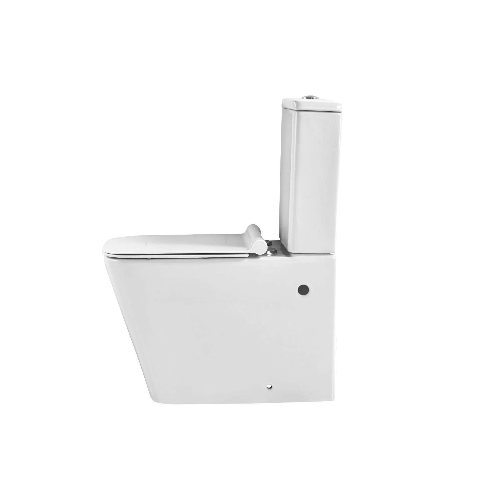 Bathroom Ceramic Washdown One Piece Wc P-Trap/S-Trap Color Toilet Toilet Bowl Automatic Smart Toilet with Bidet