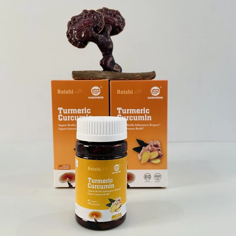 Herbal Supplements Curcumin Turmeric Extract for Support Joint and Healthy Inflammatory