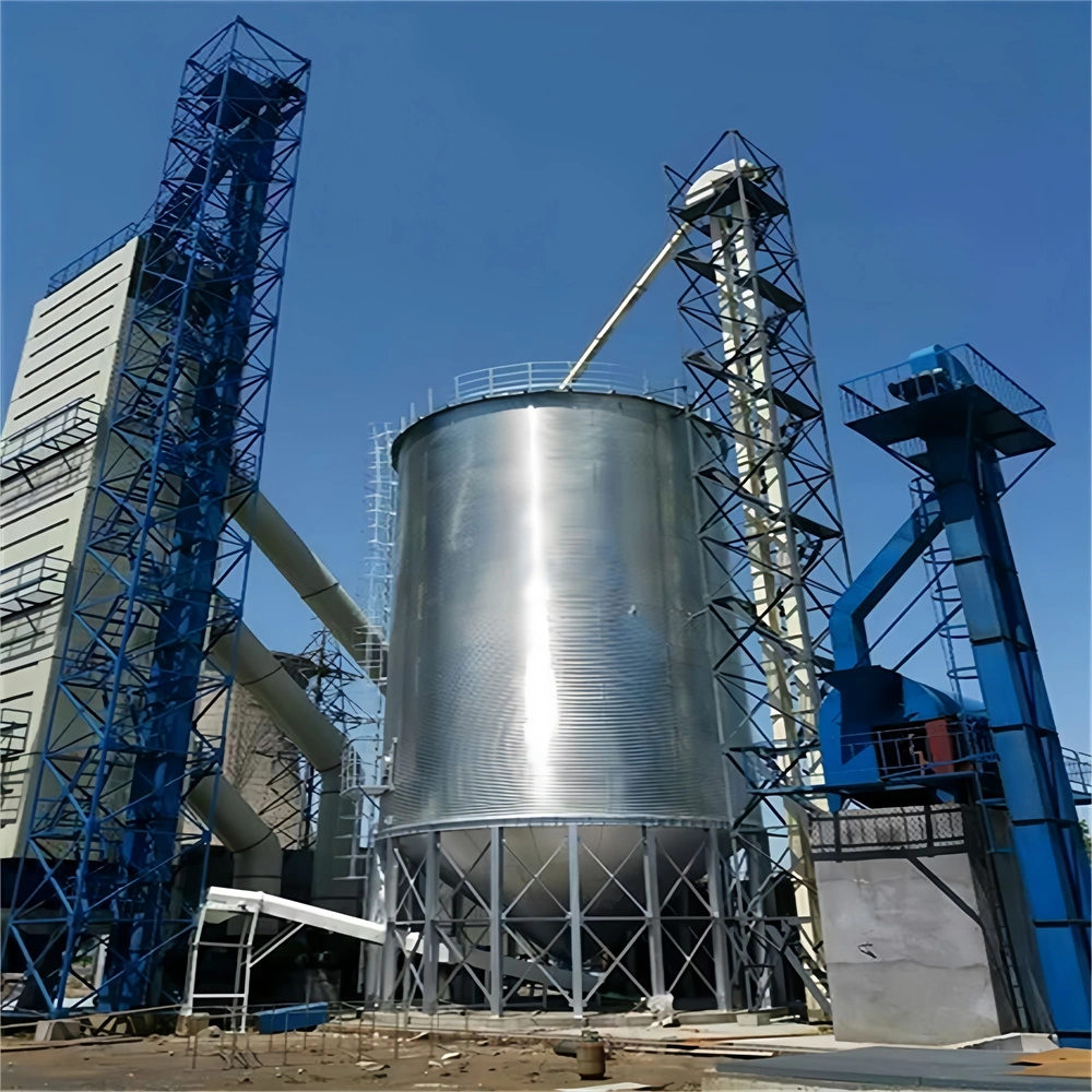 500t Galvanizing Steel Grain Silo for Paddy Storage